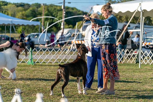 20250830-DSC07197