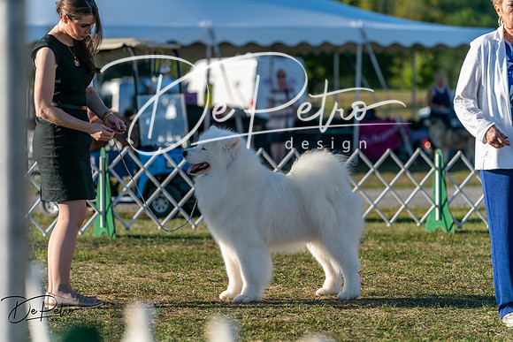 20250830-DSC07204