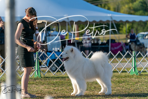 20250830-DSC07208