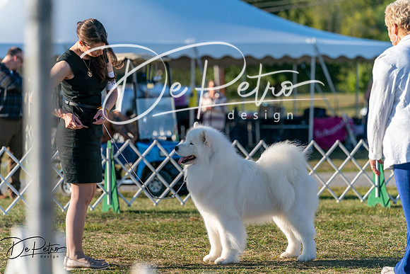 20250830-DSC07215