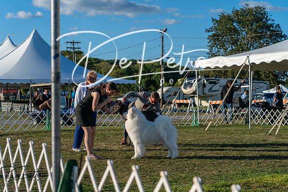 20250830-DSC07229