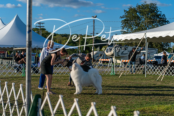 20250830-DSC07228
