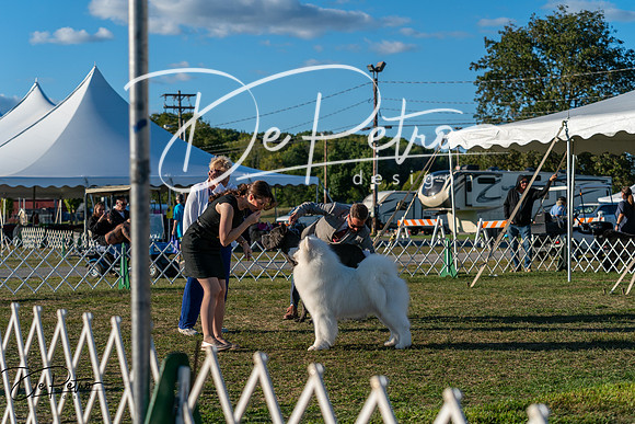 20250830-DSC07230