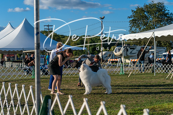 20250830-DSC07231