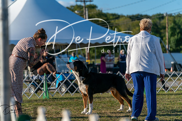 20250830-DSC07233