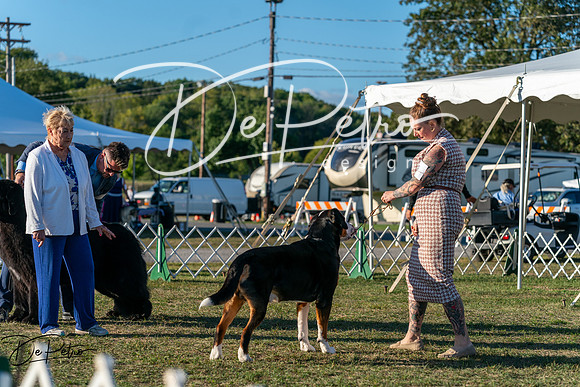 20250830-DSC07243