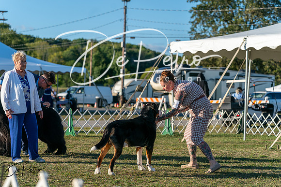 20250830-DSC07244
