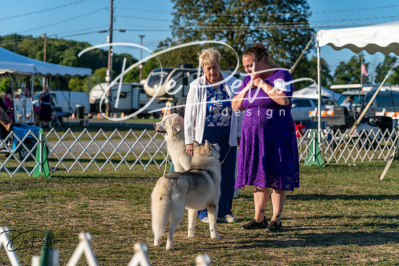 20250830-DSC07246