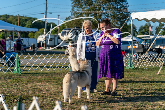 20250830-DSC07247