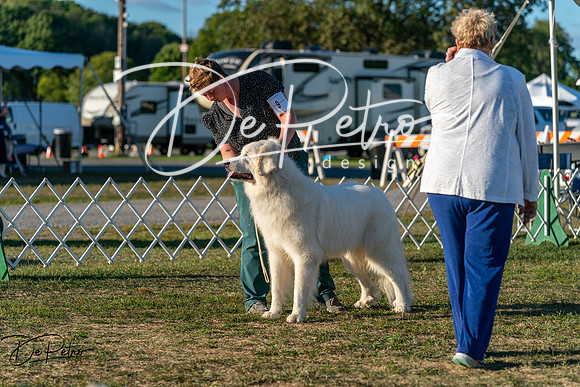 20250830-DSC07249