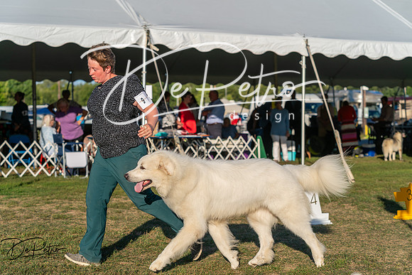 20250830-DSC07253