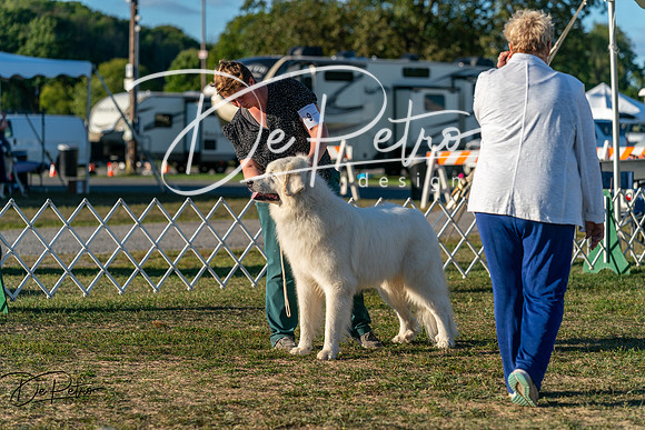 20250830-DSC07250
