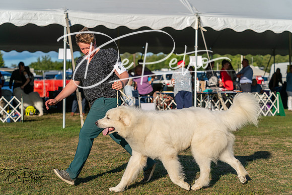 20250830-DSC07256