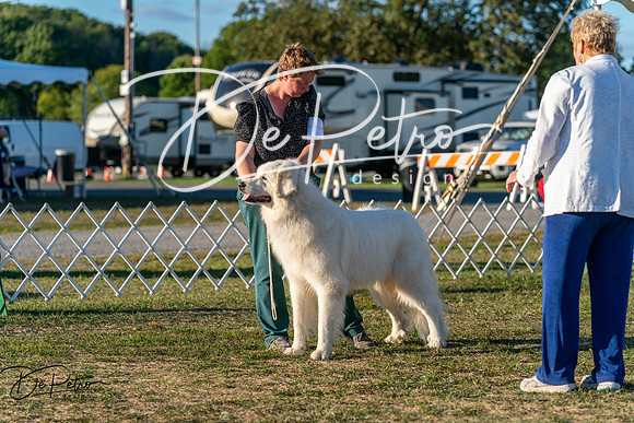 20250830-DSC07252