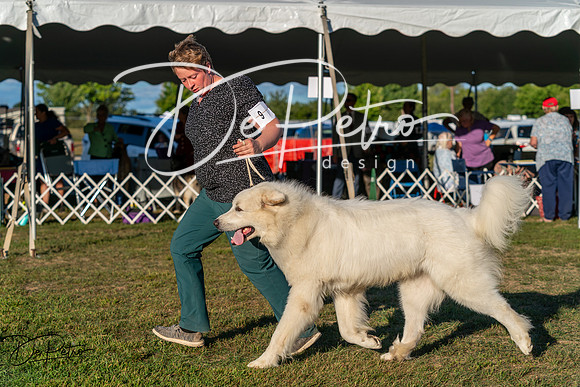 20250830-DSC07259