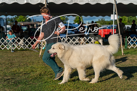 20250830-DSC07262