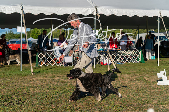 20250830-DSC07271