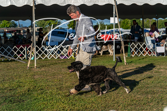 20250830-DSC07277