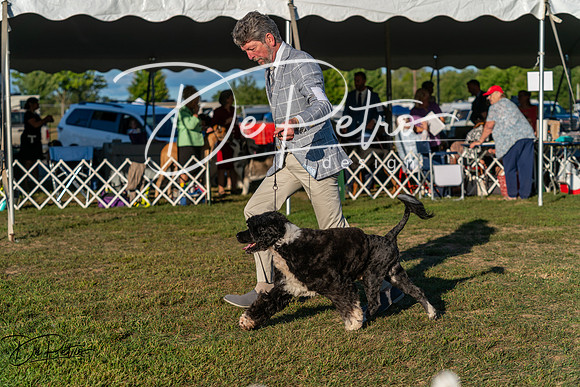 20250830-DSC07275