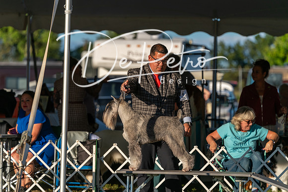 20250830-DSC07286