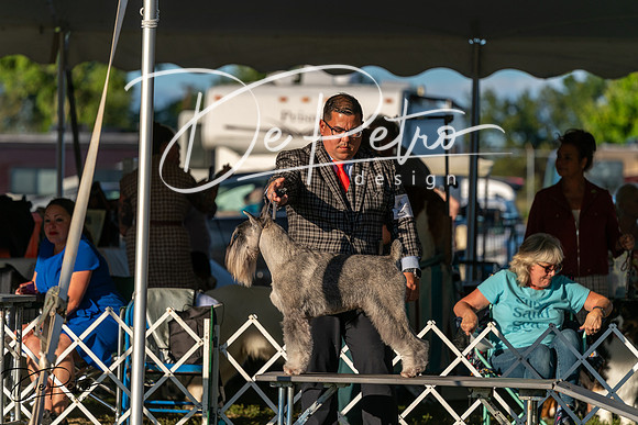 20250830-DSC07285