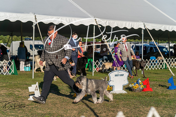 20250830-DSC07290