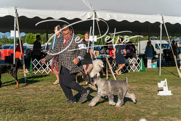 20250830-DSC07299
