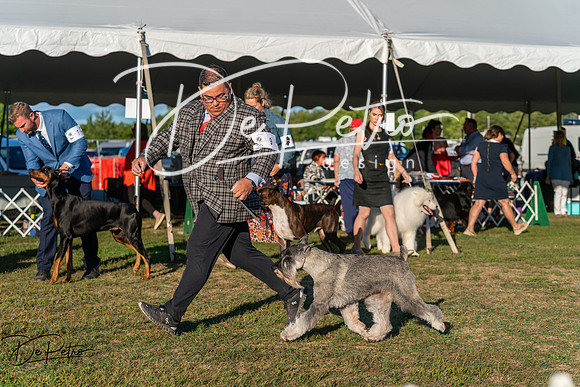 20250830-DSC07301