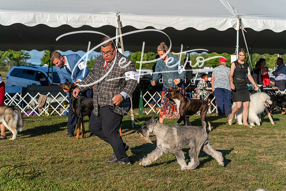 20250830-DSC07303