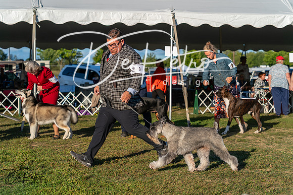 20250830-DSC07305