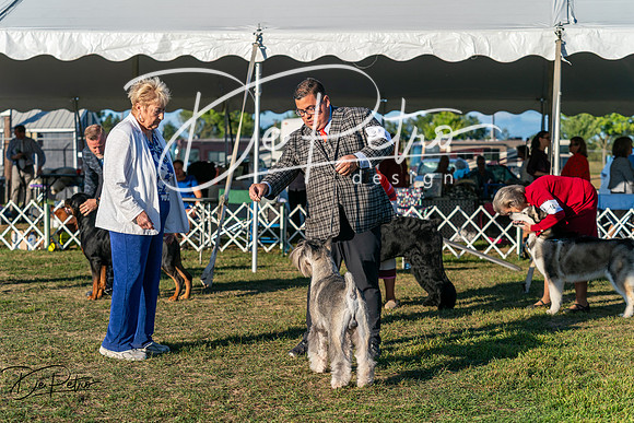 20250830-DSC07309