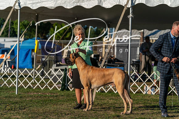 20250830-DSC07319