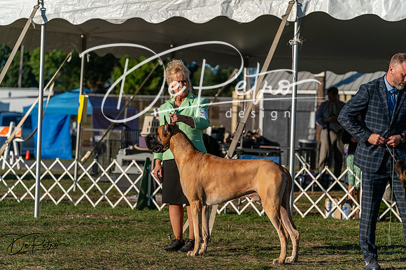 20250830-DSC07318