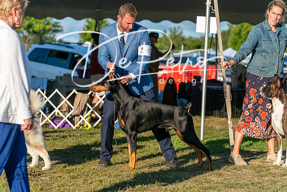 20250830-DSC07321