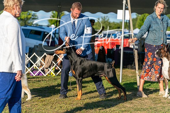 20250830-DSC07322