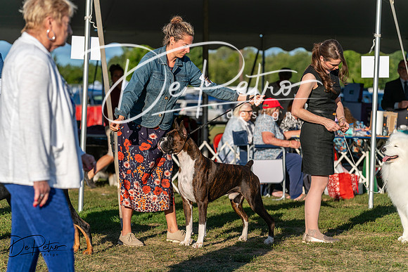 20250830-DSC07325