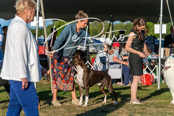 20250830-DSC07326