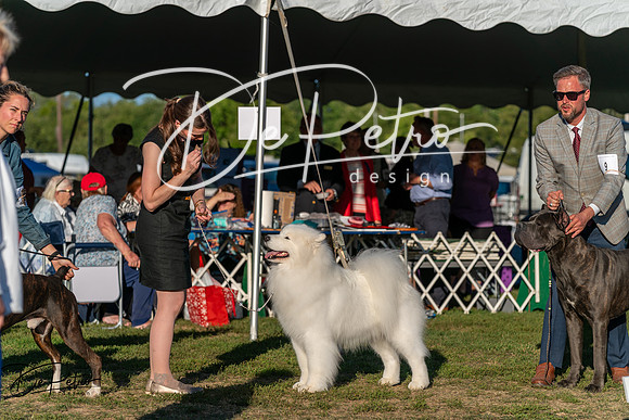 20250830-DSC07327