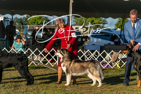 20250830-DSC07330