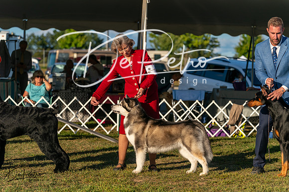 20250830-DSC07332