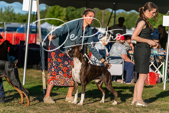 20250830-DSC07333