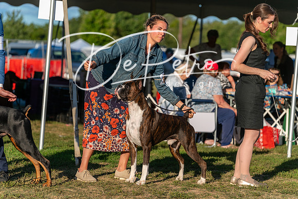 20250830-DSC07334