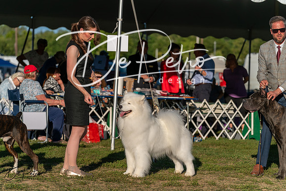 20250830-DSC07336