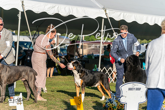 20250830-DSC07341