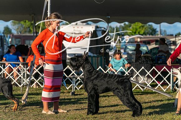 20250830-DSC07345
