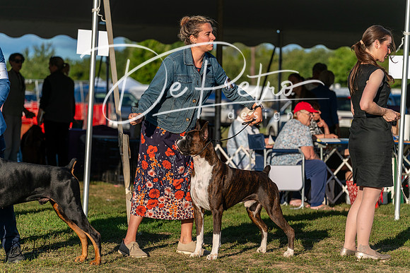 20250830-DSC07346