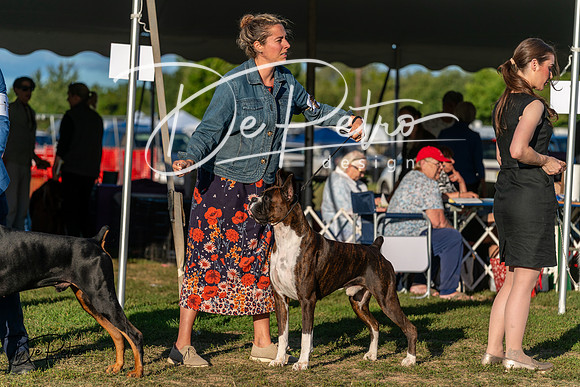 20250830-DSC07347