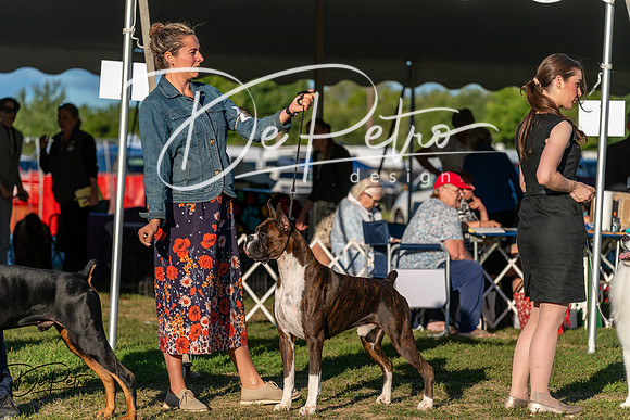 20250830-DSC07348