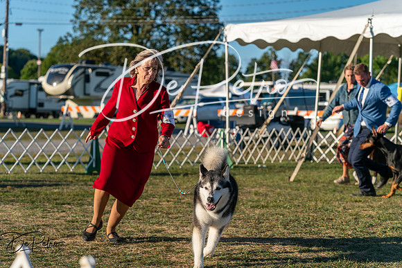 20250830-DSC07372