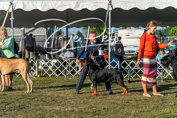 20250830-DSC07375